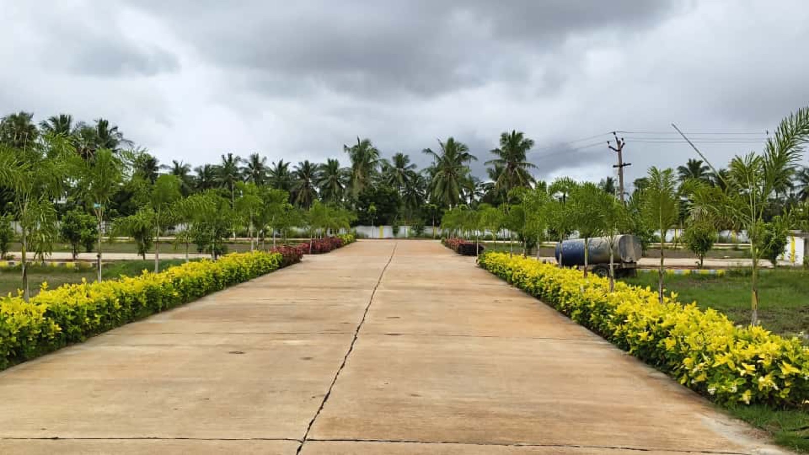 Motherland Green Meadows gallery image 3