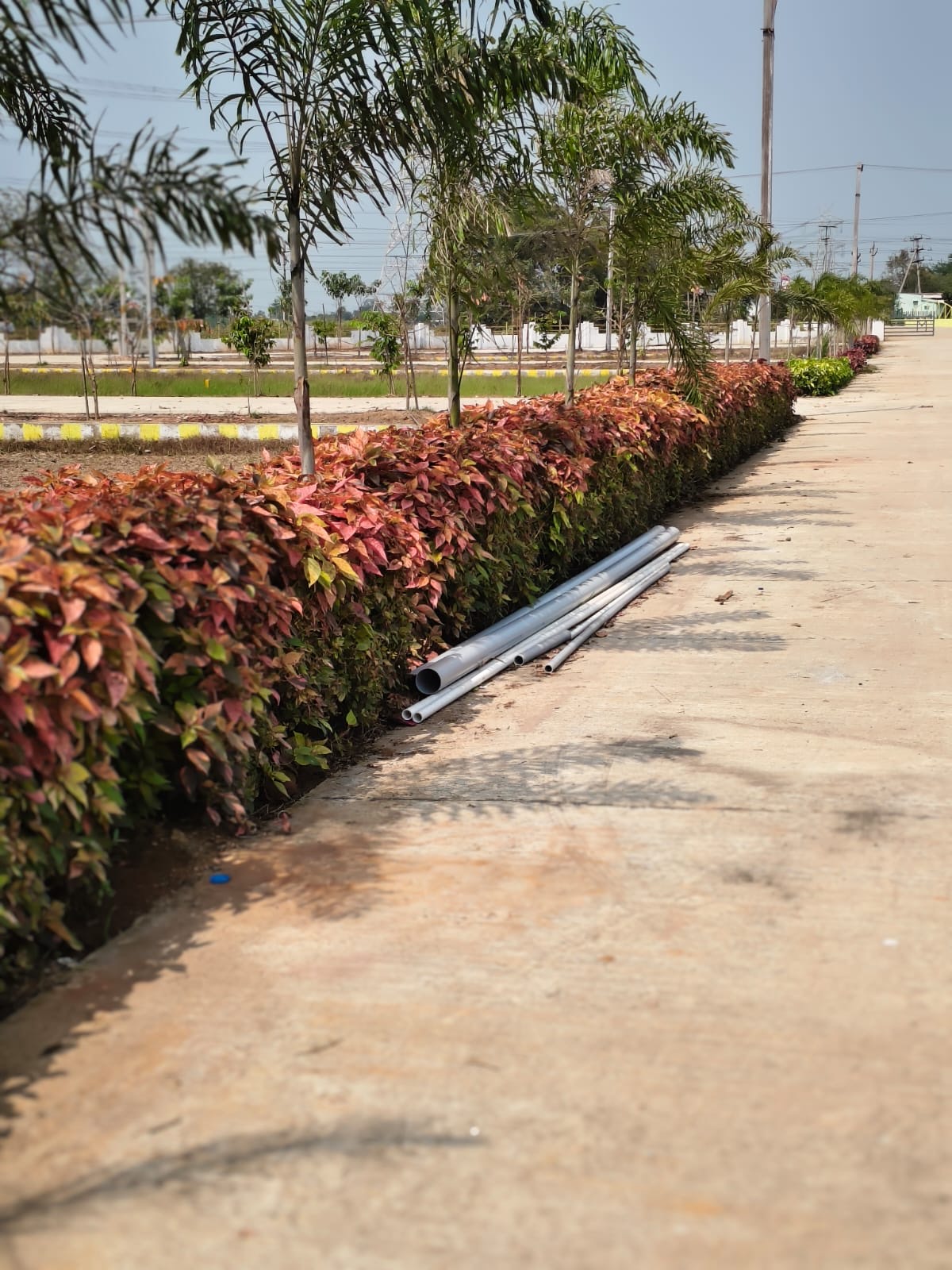 Motherland Green Meadows gallery image 5