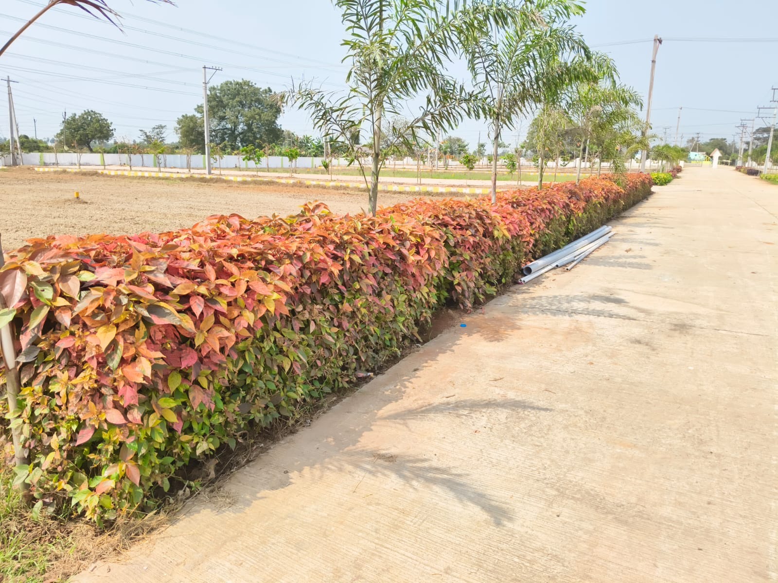 Motherland Green Meadows gallery image 7