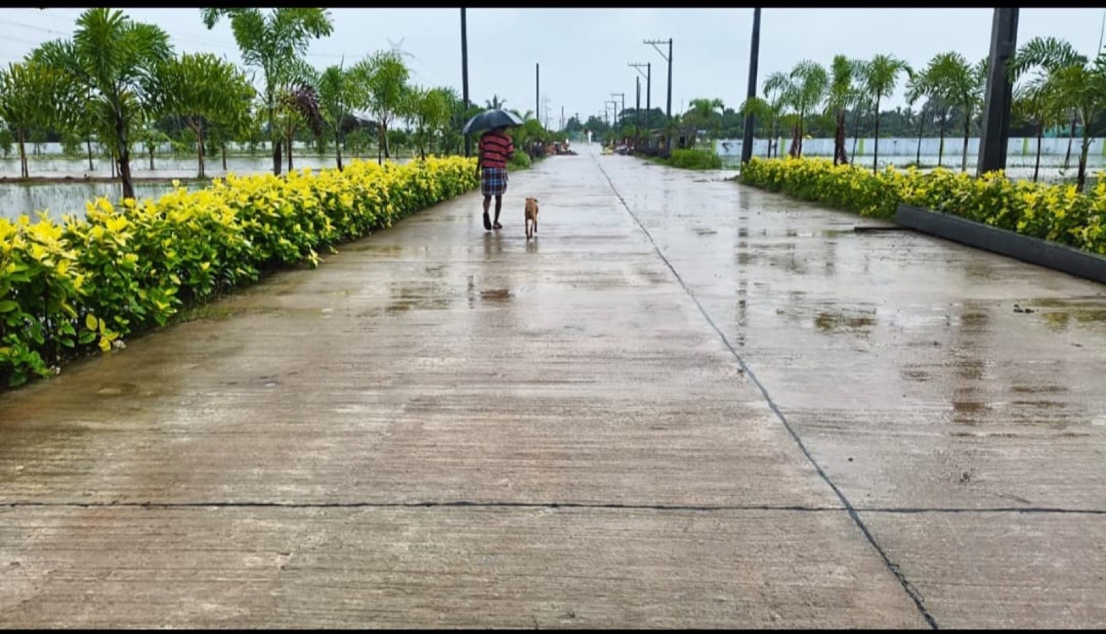 Motherland Green Meadows gallery image 2