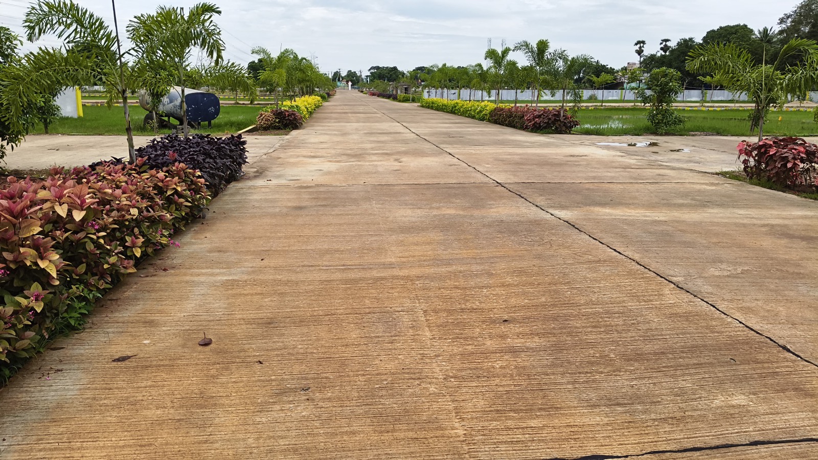 Motherland Green Meadows gallery image 9