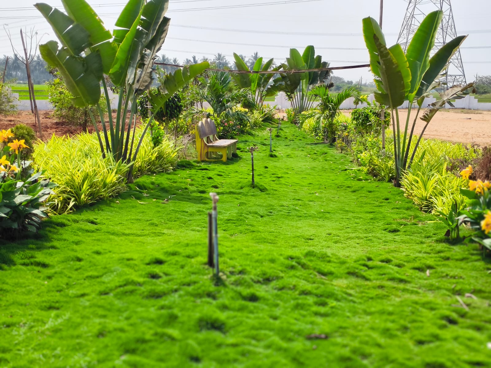 Motherland Green Meadows gallery image 8