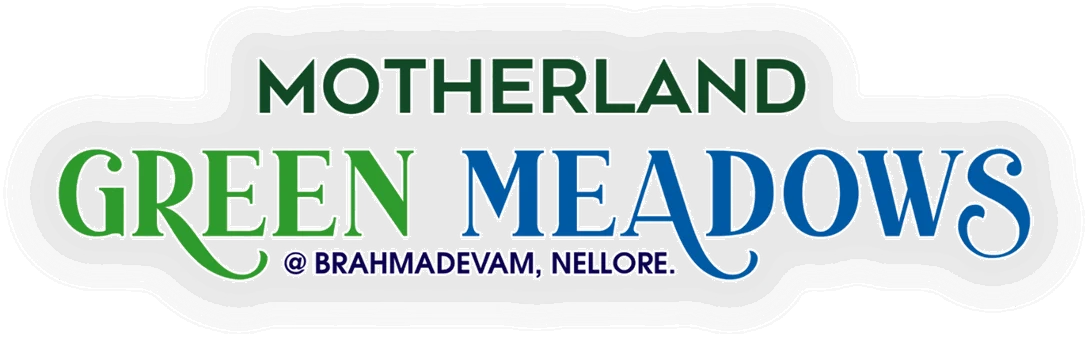 Motherland Green Meadows at Brahmadevam, Nellore