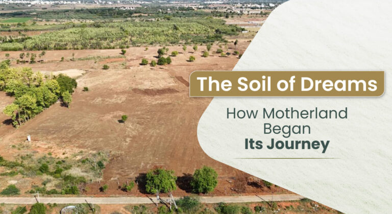 The Soil of Dreams: Motherland Developers Brand Story